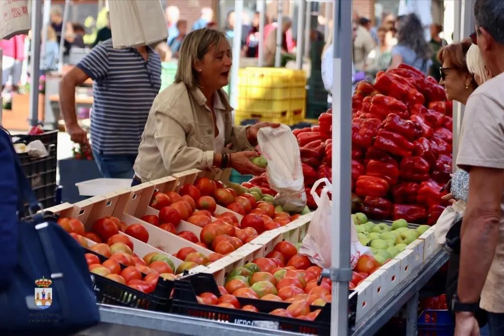 Feria Pimiento Benavente