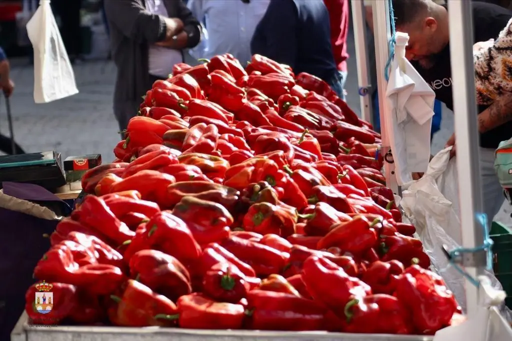 Feria Pimiento Benavente
