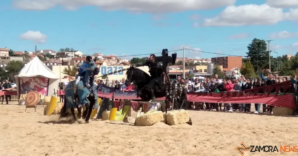 justas medievales (2)