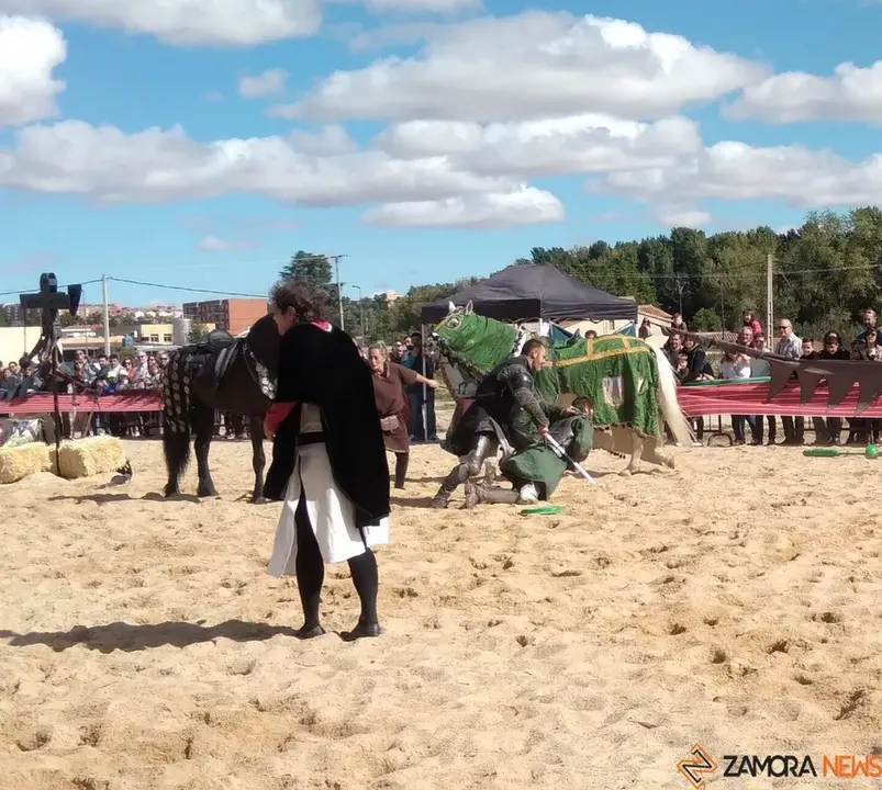 justas medievales cerco zamora 2022 (5)