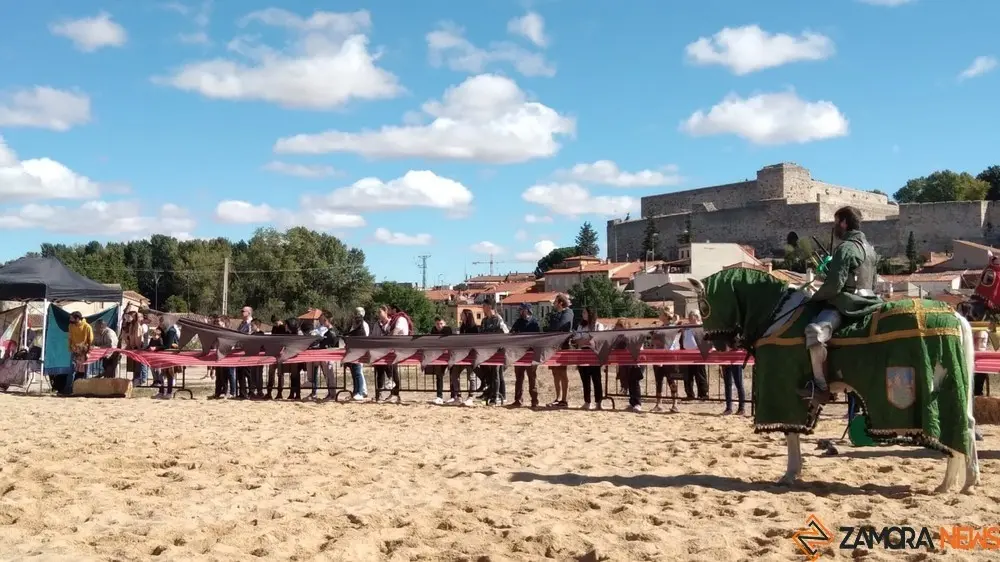 justas medievales cerco zamora 2022 (12)
