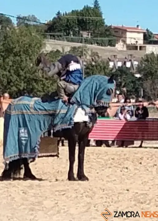 justas medievales cerco zamora 2022 (15)