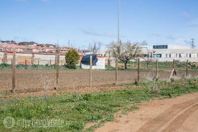 Huerto Urbano. Foto Interbenavente