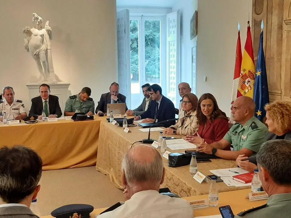 Reunión de la Comisión Territorial de Asistencia a la Delegada del Gobierno en Castilla y León