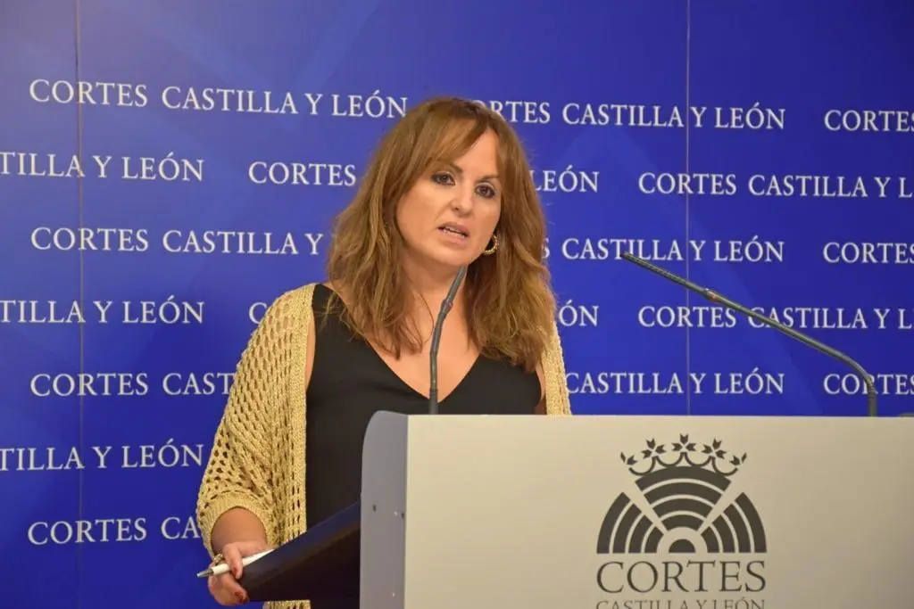 La viceportavoz del Grupo Socialista en las Cortes de Castilla y León, Patricia Gómez