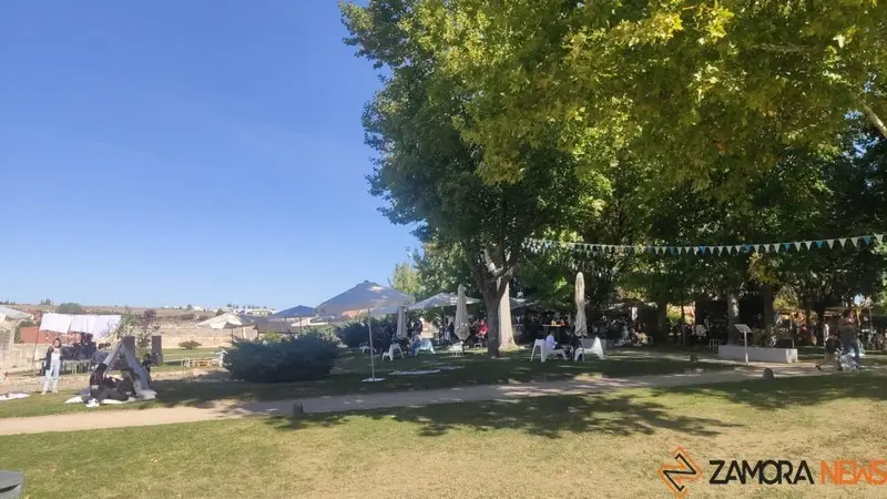 Mercado de Tendencias (2)