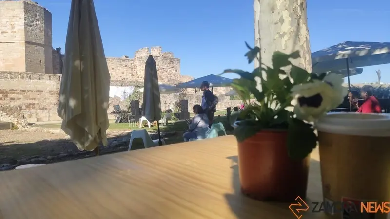 Mercado de Tendencias (5)