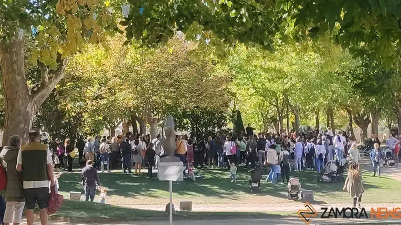 Mercado de Tendencias (7)