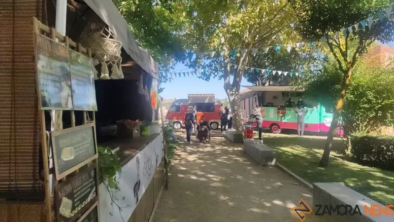 Mercado de Tendencias (9)