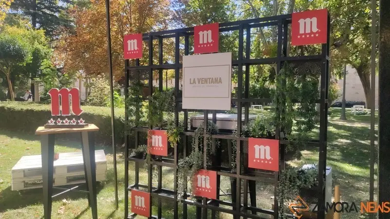 Mercado de Tendencias (11)