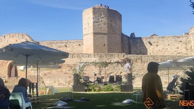 Mercado de Tendencias (10)