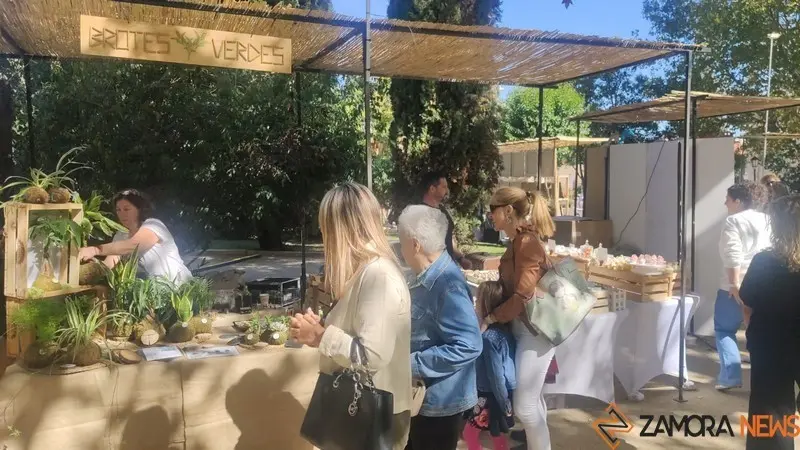 Mercado de Tendencias (13)