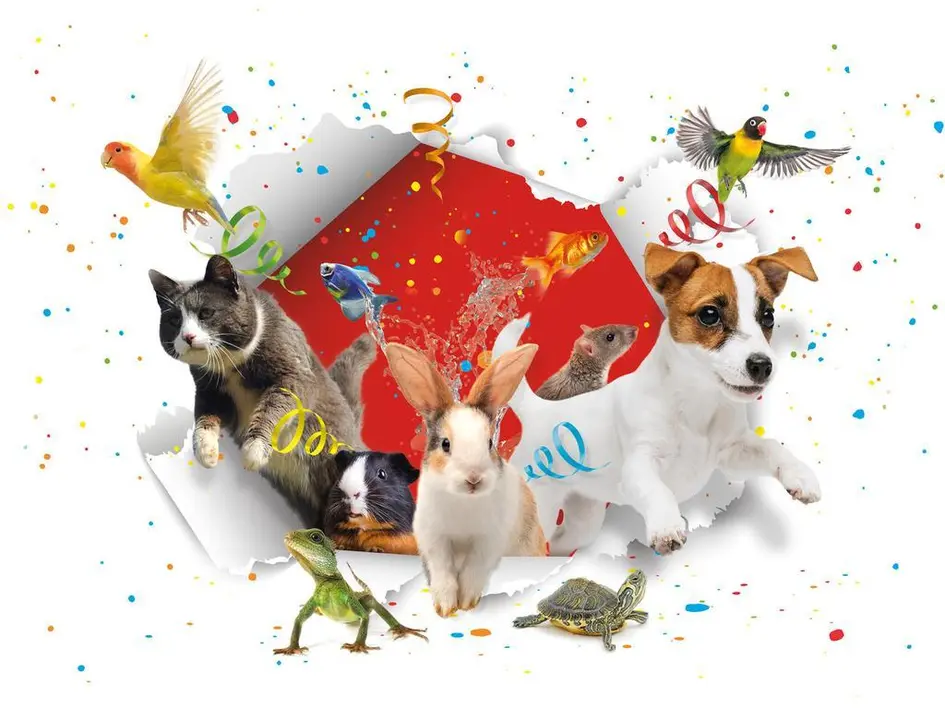 Animales