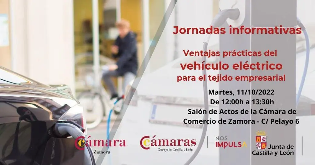 camara comercio
