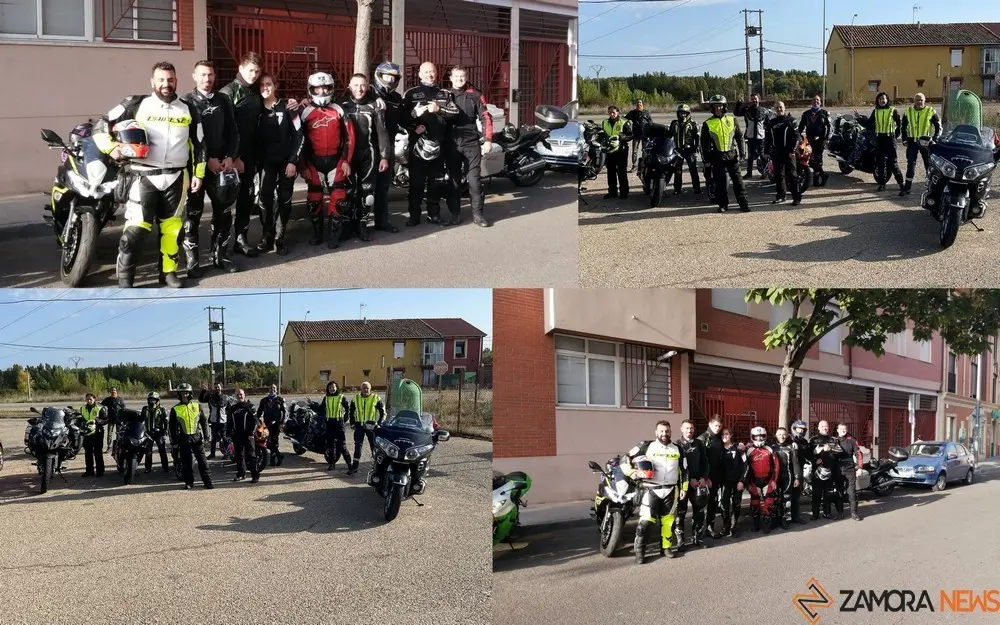 collaje paketorros disidentes