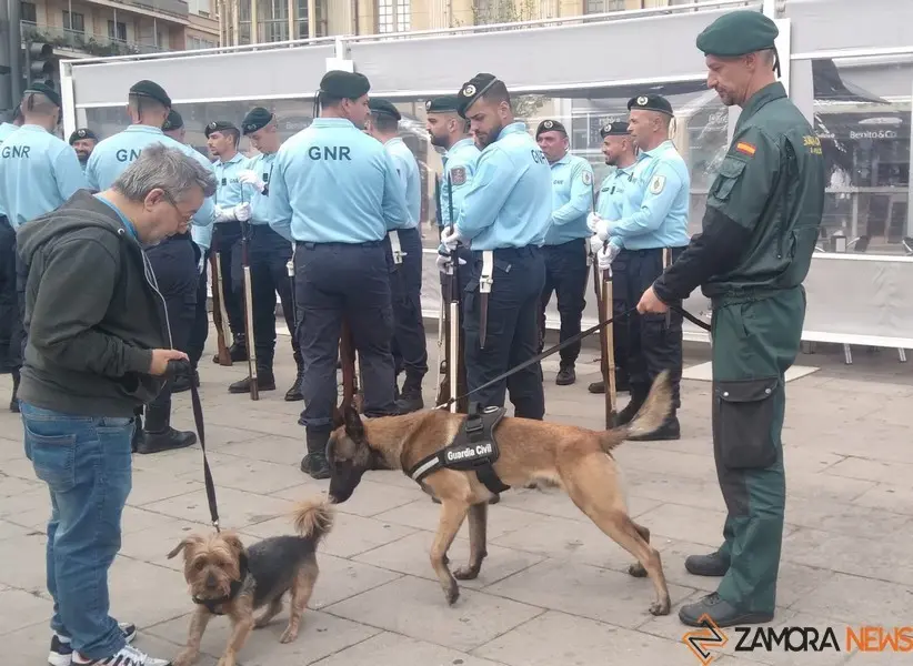 Zamora ensaya para la fiesta Nacional6