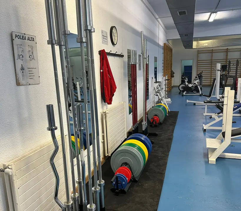 Gimnasio 1