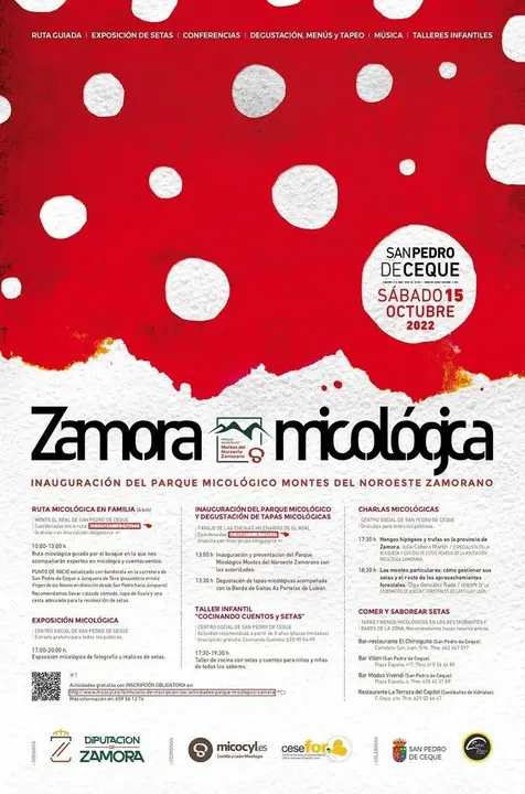 Actividades