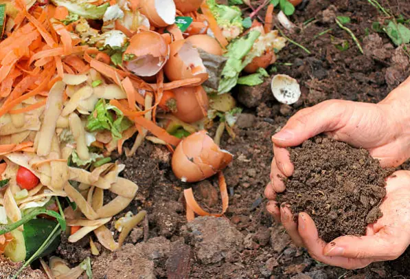Compost2