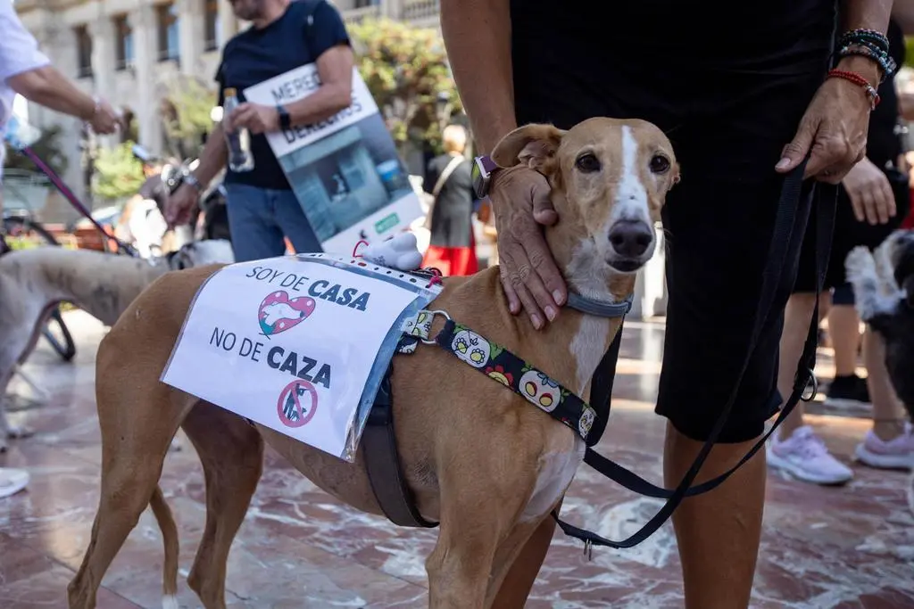 Protesta de entidades y organizaciones animalistas para incluir a los perros de caza en la Ley de Protección Animal. Fotografía: AnimaNaturalis España