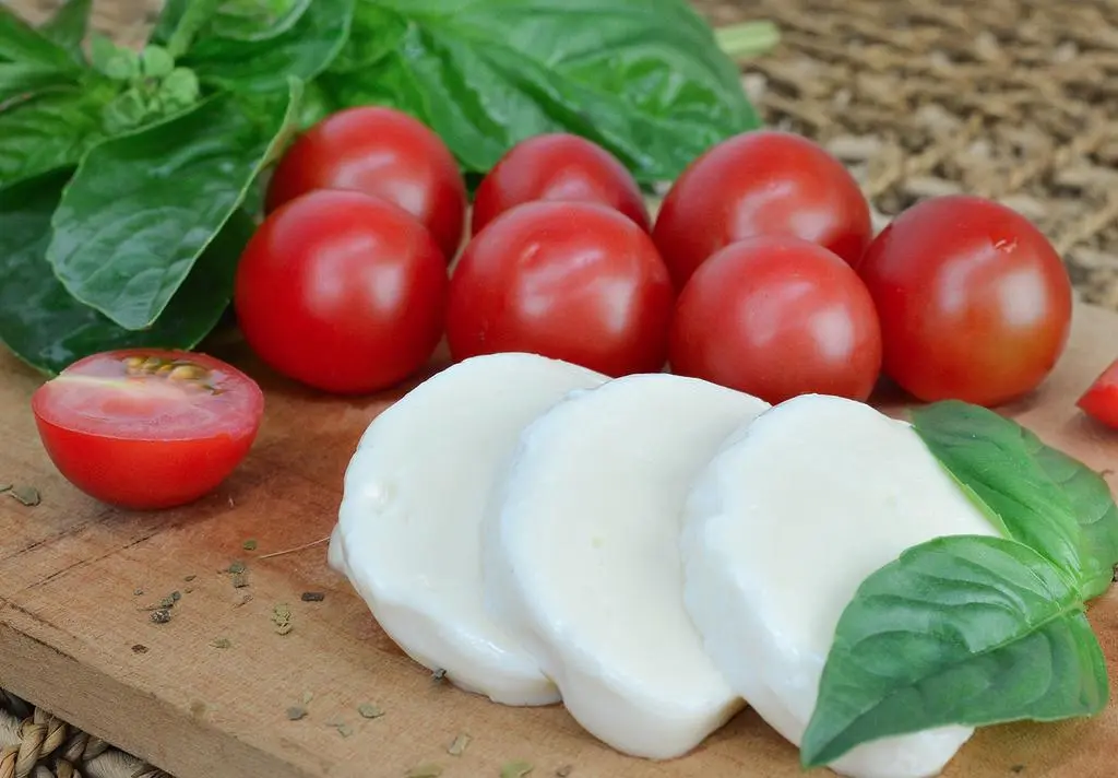 Mozzarella fresca