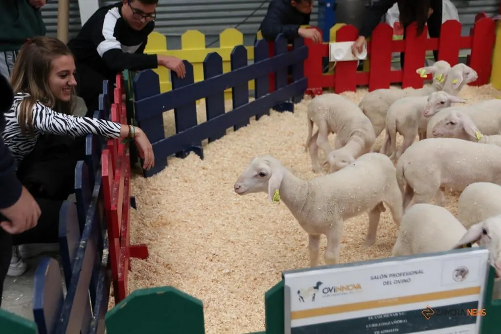 Salón OVINNOVA 2022 en IFEZA