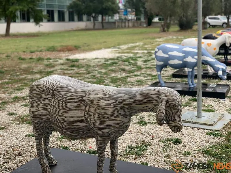 Ovinnova (9)