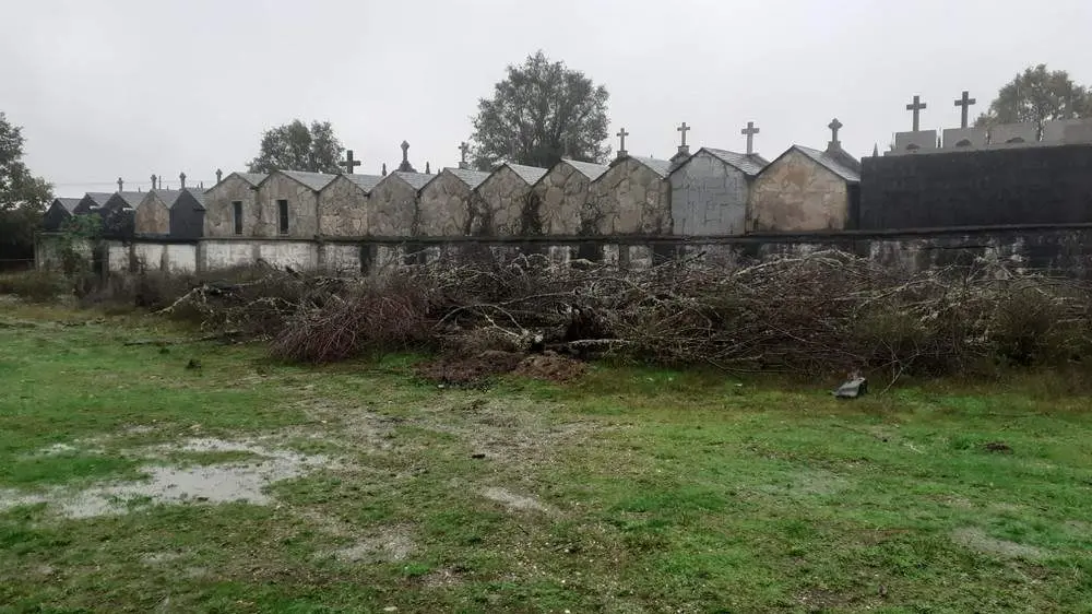ramas cementerio galende