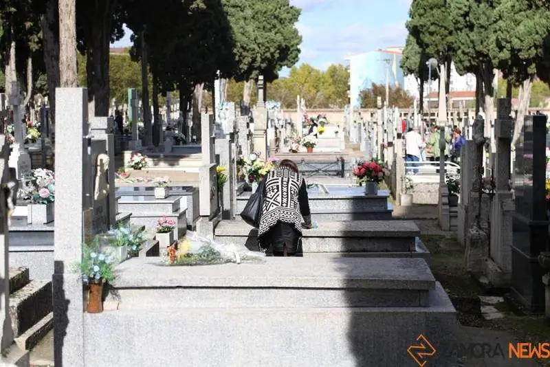 Cementerio Zamora (9)