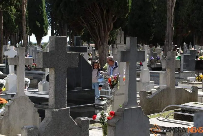 Cementerio Zamora (10)