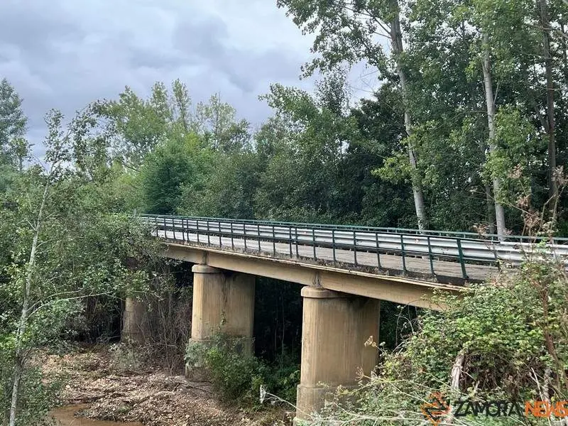 Puente de Castrogonzalo, Foto Diputación