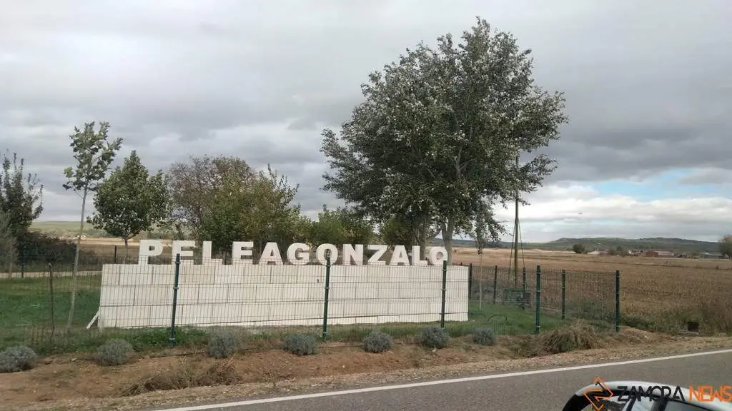 Peleagonzalo