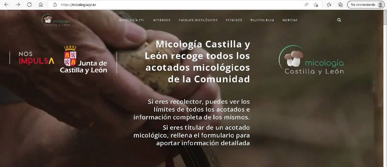 Portal micologia.es