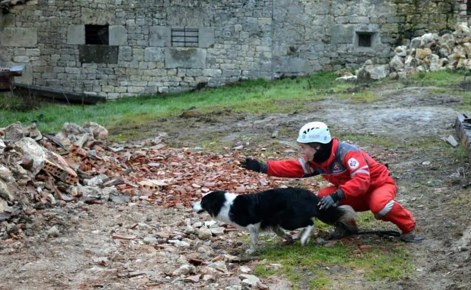 Perro de rescate de UCAS de Arrate