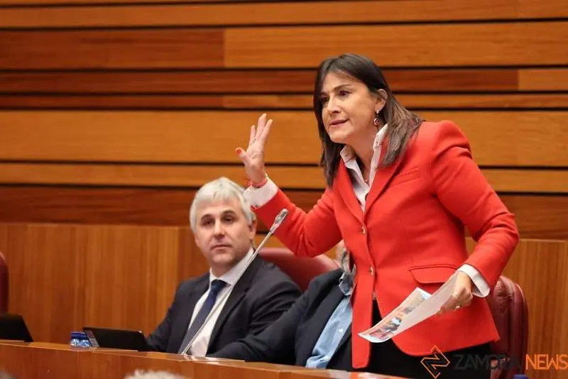 Ana Sánchez ayer en las Cortes