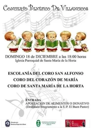 Concierto benéfico