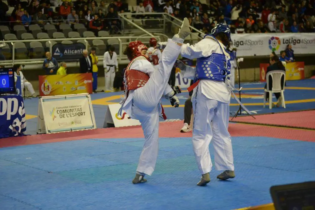 Taekwondo Ternera de Aliste