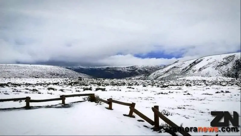 Nieve