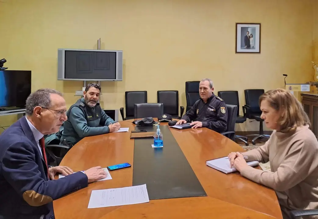 Comisi&oacute;n de seguridad