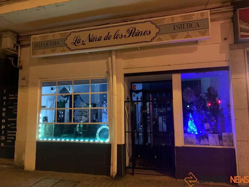 Escaparates navide&ntilde;os en Zamora (11)