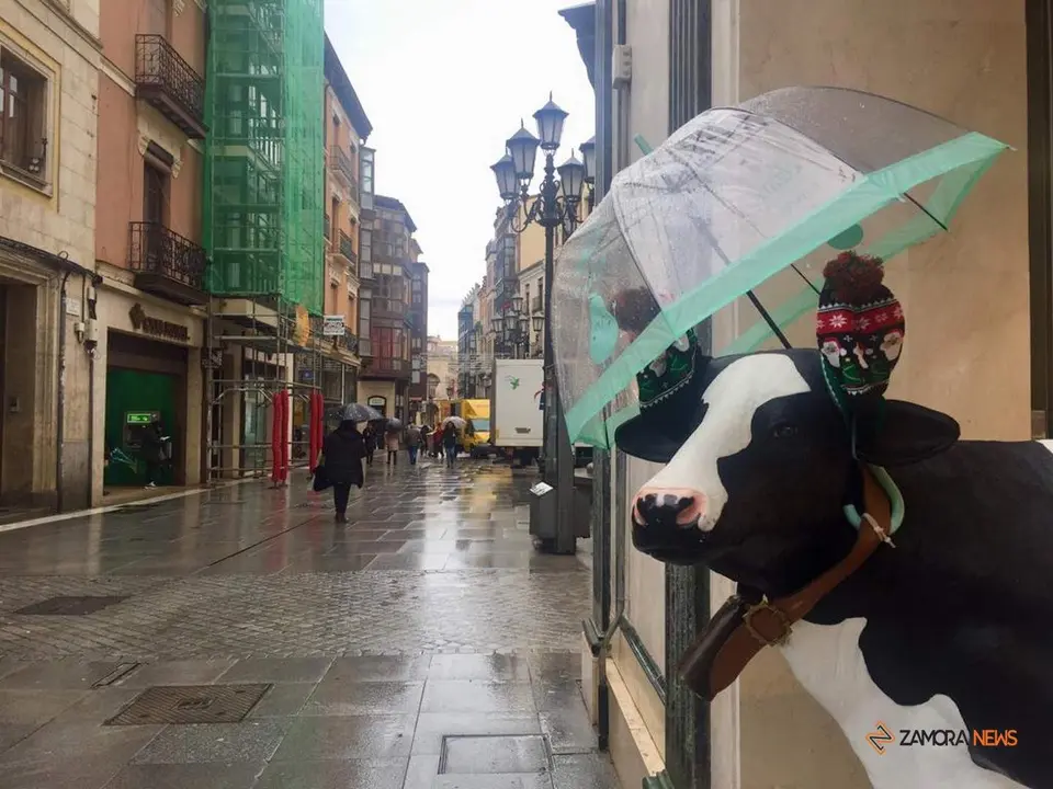 Lluvia en la plaza Sagasta de Zamora