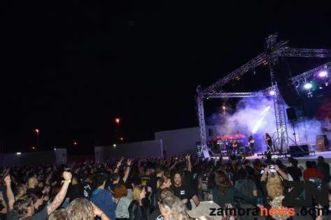 z live fest