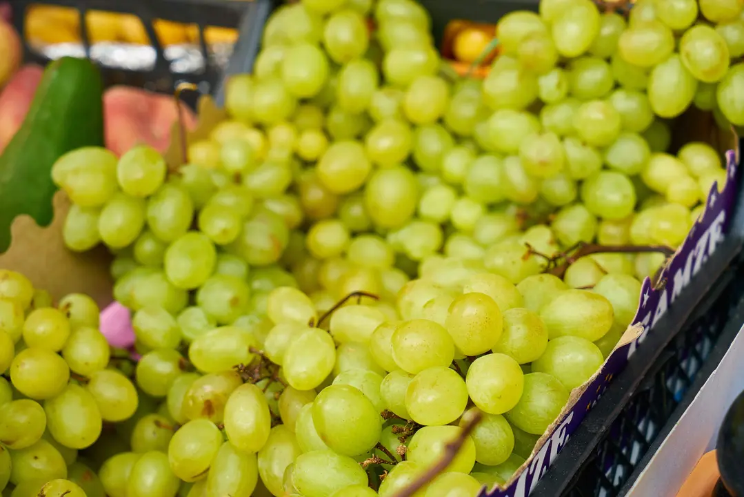 Uvas