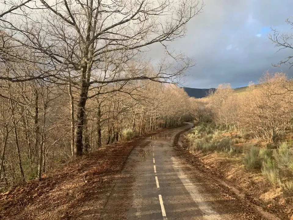 carretera escuredo