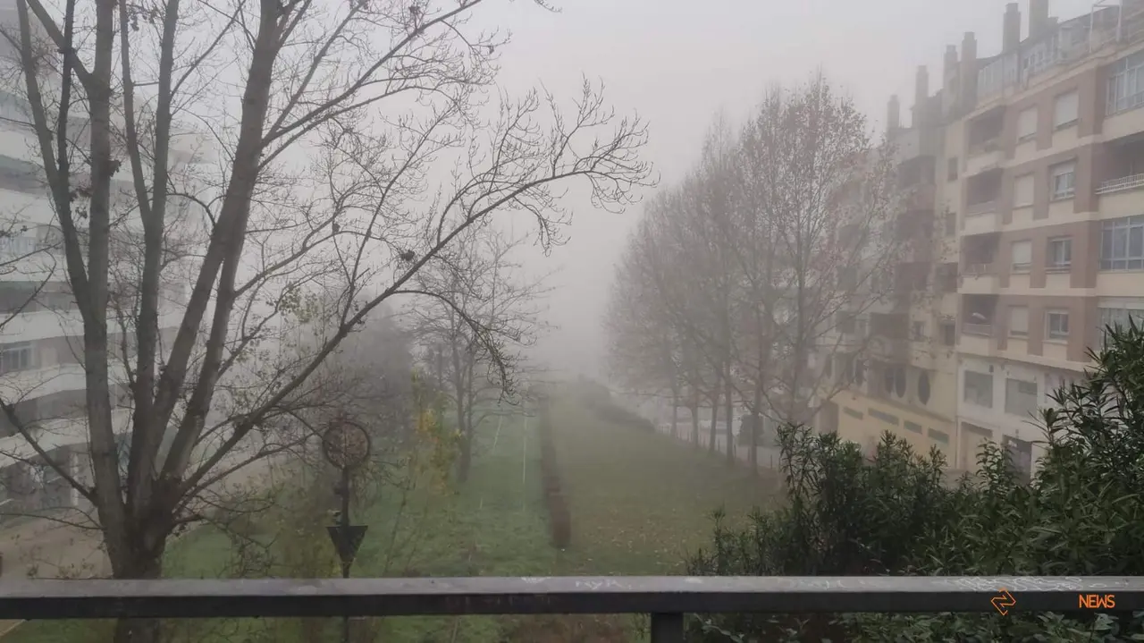 Niebla en la calle Candelaria Ruiz del Árbol