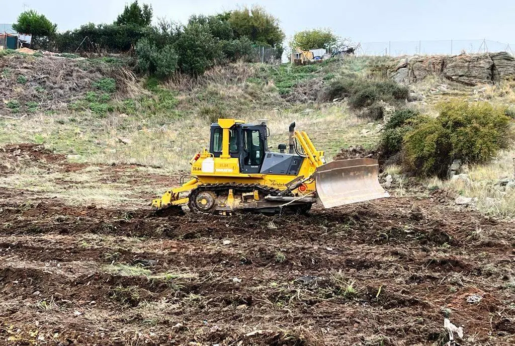 Obras de reforestación antiguo vertedero