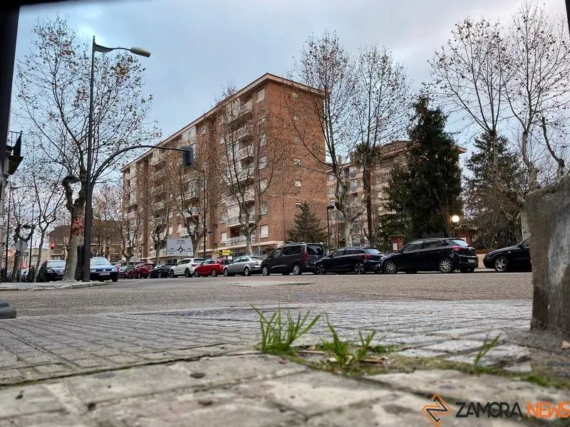 Zamora