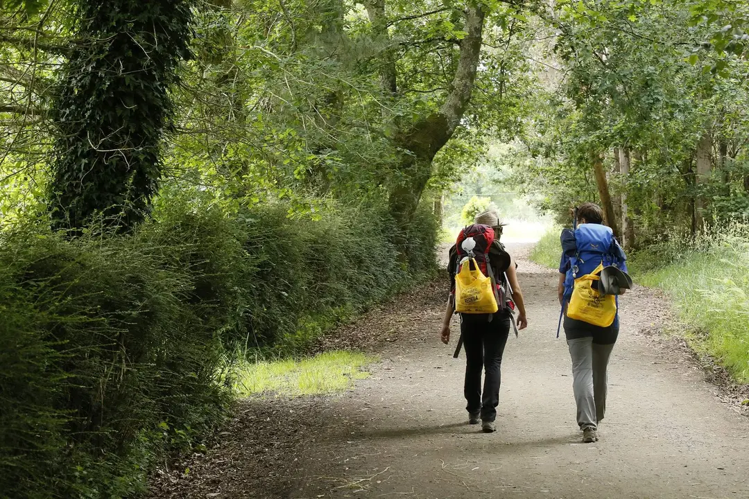 Camino del Reciclaje