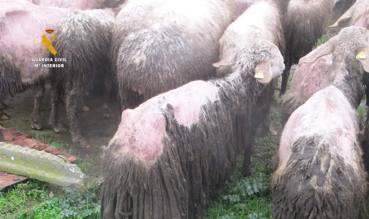 94955C5B-4717-4BD6-9A6F-6CCE00907BA5