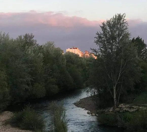río Bernesga León. Imagen Zamora News